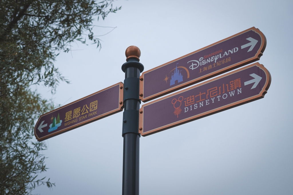 Disneyland Day Pass