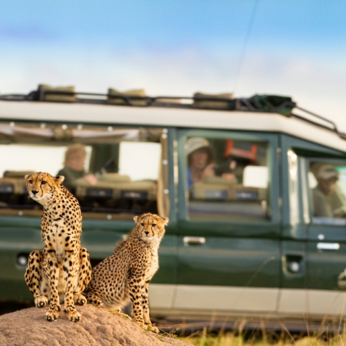  Private Game Reserve