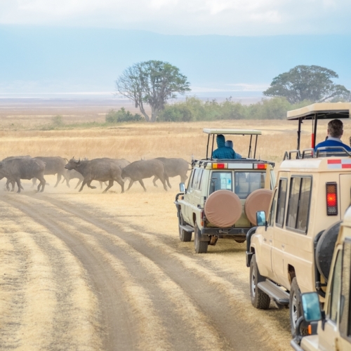Private Game Reserve