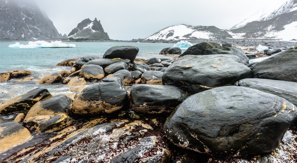 Elephant Island/ Cape Lookout, Antarctica