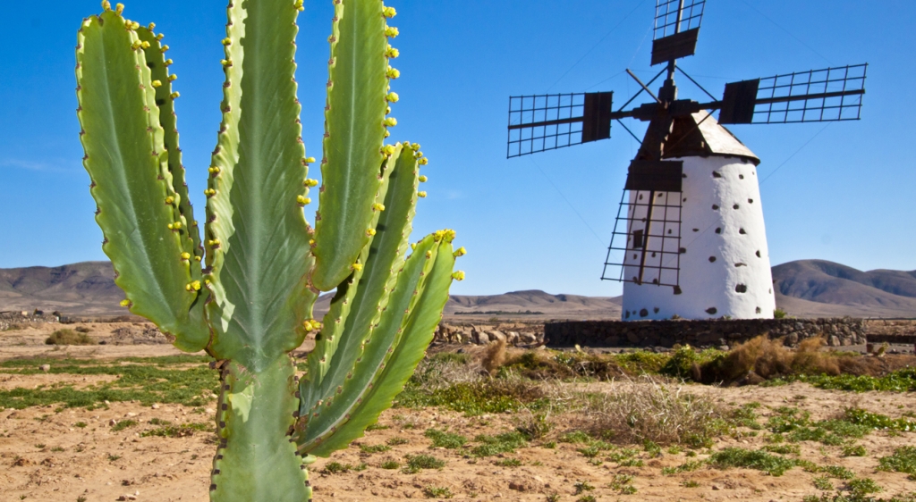 Fuerteventura