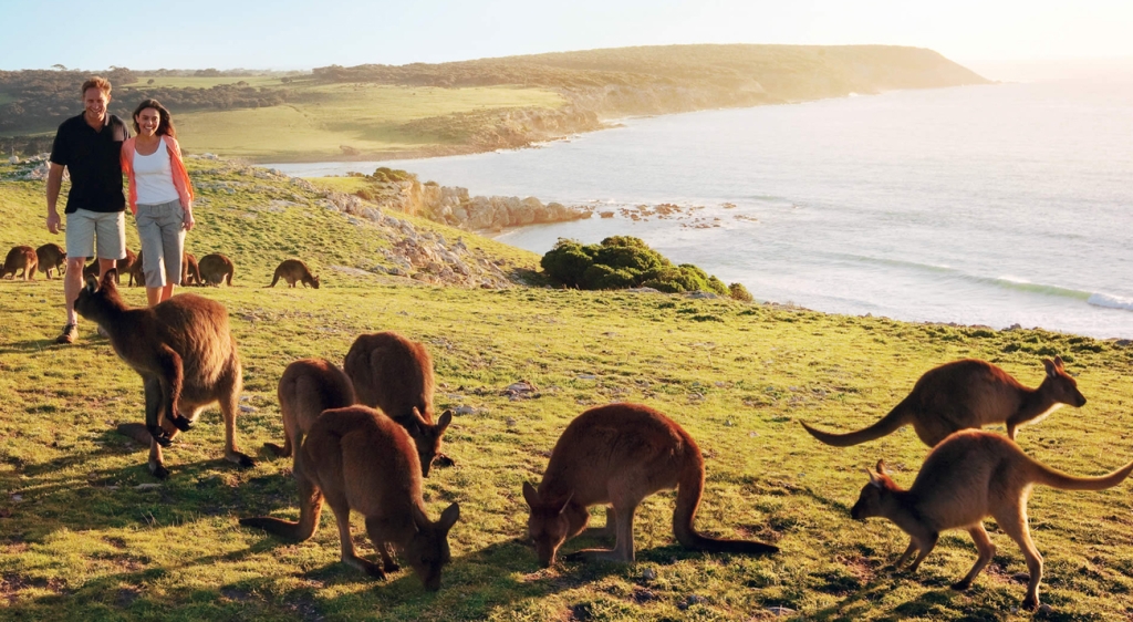 Kangaroo Island