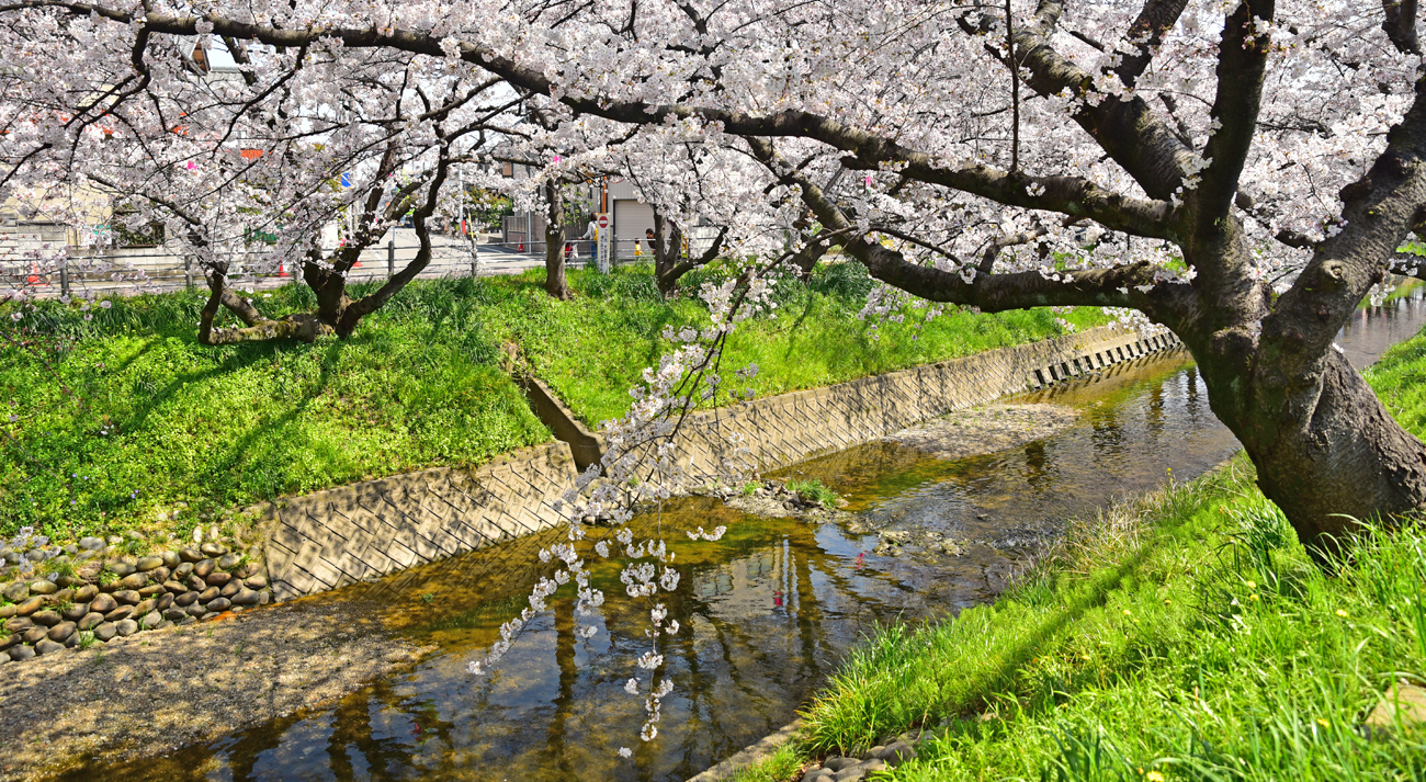 Nagoya