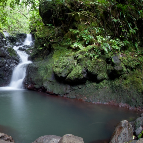 Raiatea, Society Islands