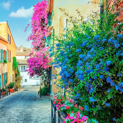 St Tropez