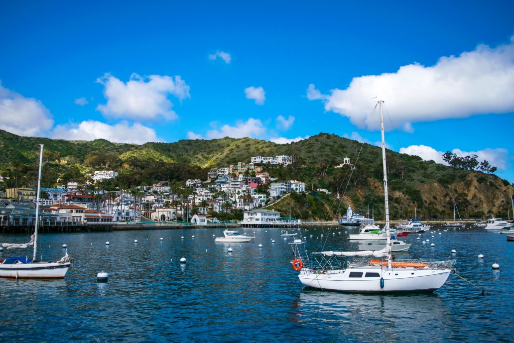 Catalina Island, California, United States