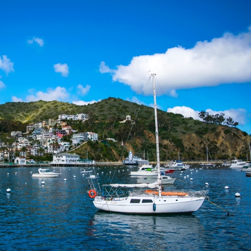 Catalina Island, California, United States