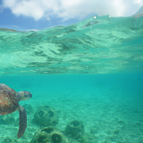 Curacao