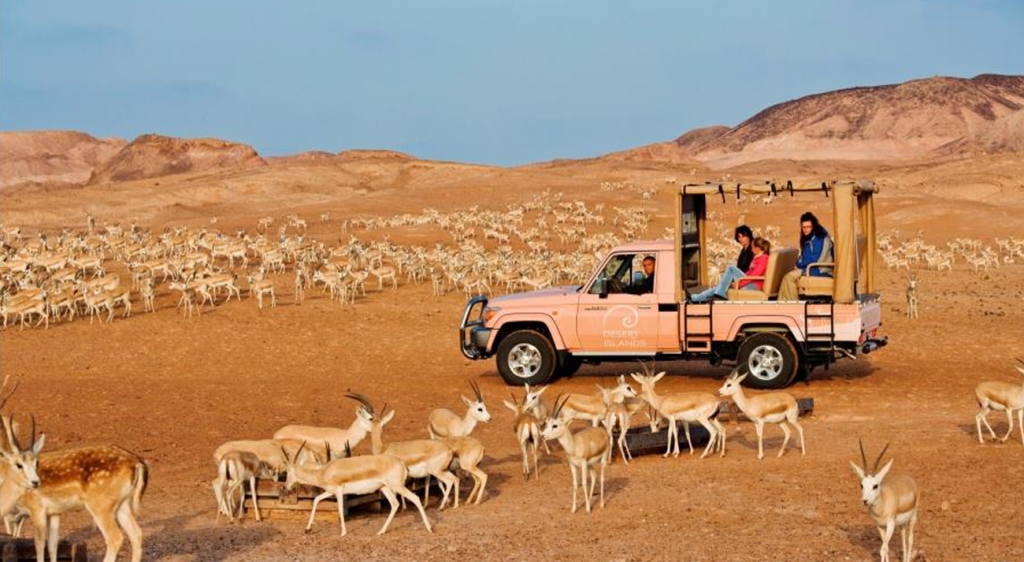 Sir Bani Yas Island, UAE