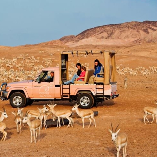 Sir Bani Yas Island