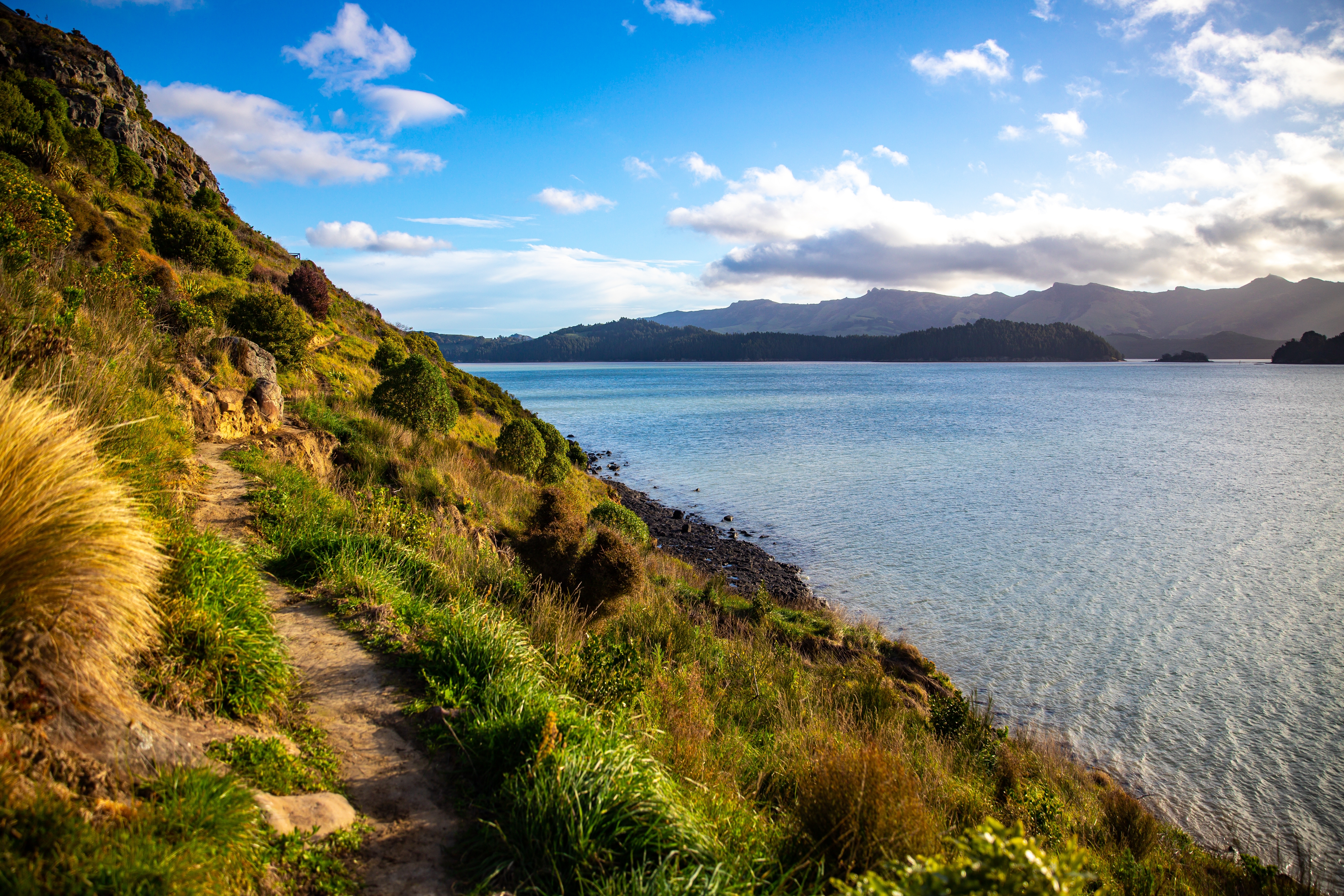 Lyttelton