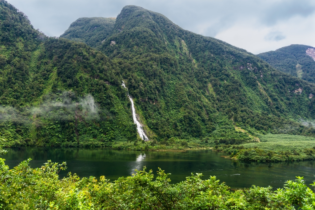 Cruising Fiordland National Park