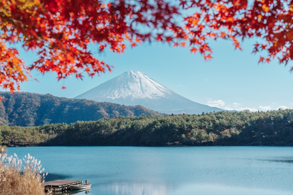 Mount,Fuji,View,At,Lake,Saiko,In,Autumn,Season.,Mt
